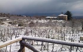 Villa Etna Masi'